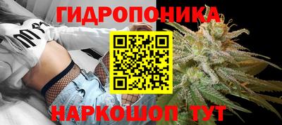 соль ск Камышлов